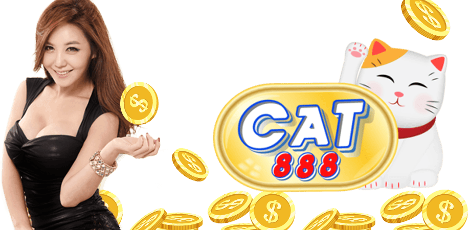 cat888